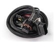 Cableado listo Honda Low CC Bikes FT450 